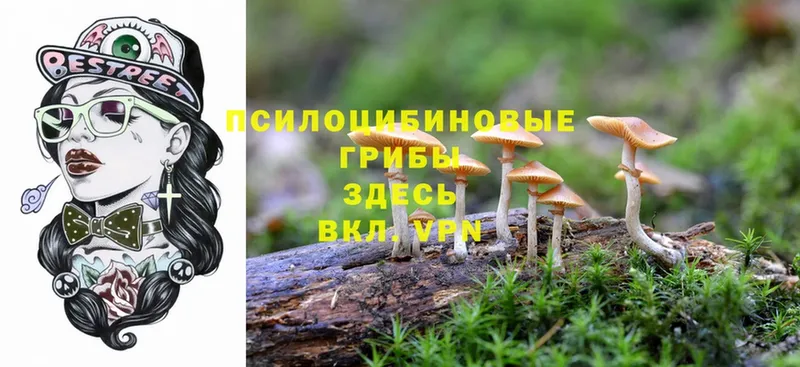 Галлюциногенные грибы Magic Shrooms  hydra как войти  Сергач 